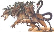 Cerberus