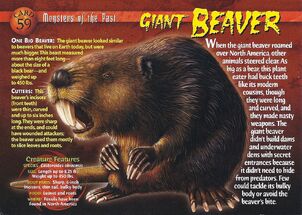 Giant Beaver front