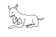 Carnivorous Artiodactyla