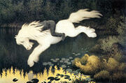 Boyonawhitehorse