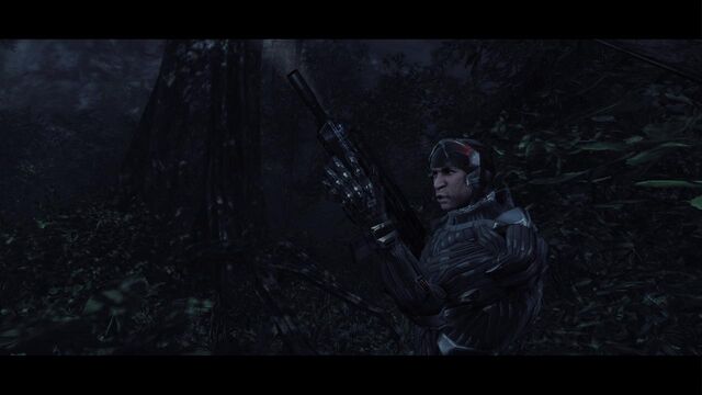 File:Crysis 2012-02-04 16-21-03-42.jpg