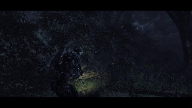 File:Crysis 2012-02-04 16-20-22-82.jpg