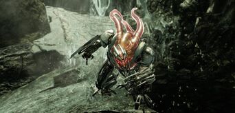 Stalker 1.jpg