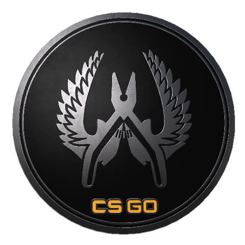 File:Csgo-collectible-pin-guardian-elite.png
