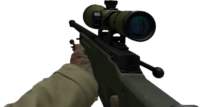 File:Csgo awp fps.png