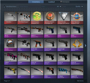 Csgo inventory