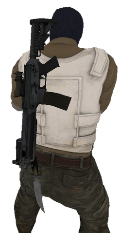 File:P sg556 back.png