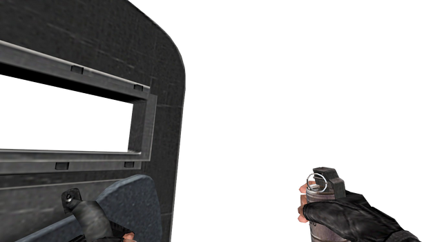 File:V flashbang shield cz.png