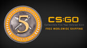 CSGO Blogpost PhysicalFiveYearCoin