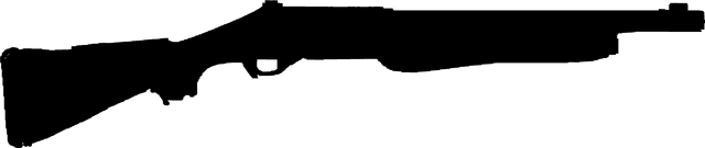 File:Nova hud csgo.png