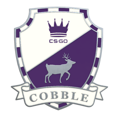 File:Csgo-pins-series-2-crackboys-5.png