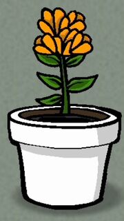 Flower3