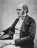 640px-Charles Darwin seated crop