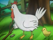 Tracy The Hen