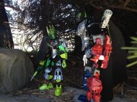 Tfp6-8