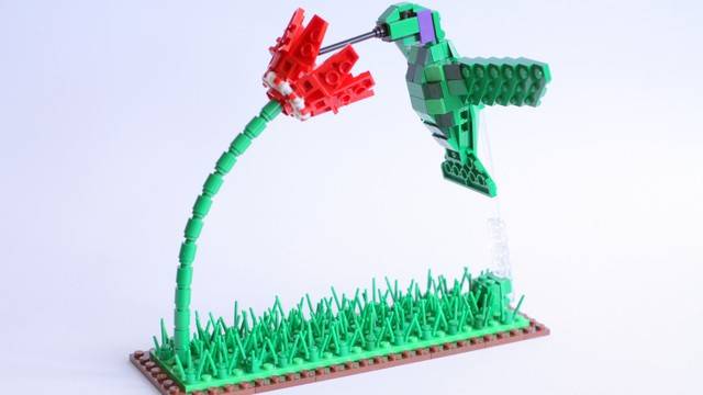 File:Hummingbird.jpg