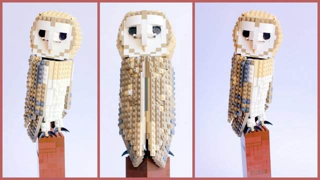 File:Barnowl.jpg