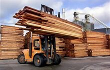 Softwood470 cp 2793826