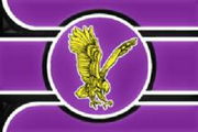 LegionFlag3