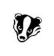 Nordheimbadgersfc