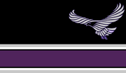 LegionFlag2