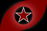 ICSN flag