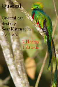 Quetzal