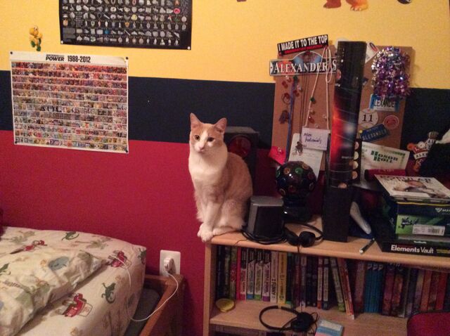 File:The Cat-ck Case.jpg