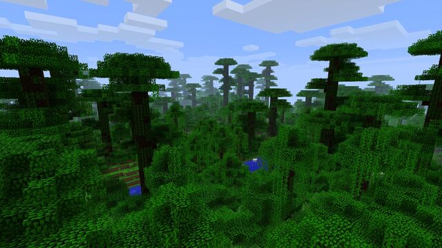 File:JebJungle.jpg