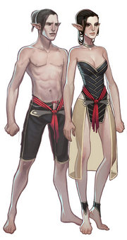 Elves
