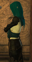 Aikiabody