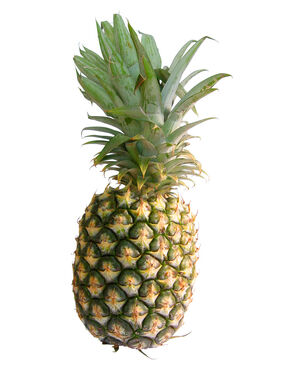 Pineapple-01