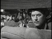 Walker & Wilson