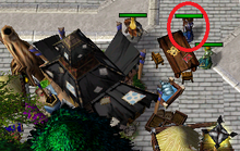 Staff Merchant