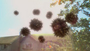 180px-Rakweedattack