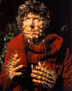Tom-baker-meglos