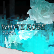 WH1TE RO5E