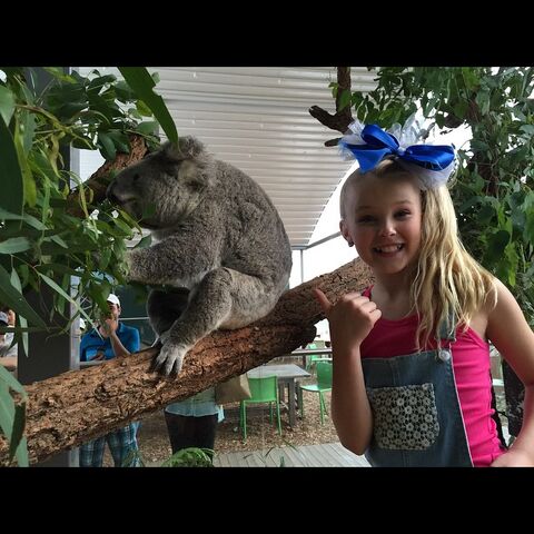 File:JoJo and koala 2015-03-11.jpg