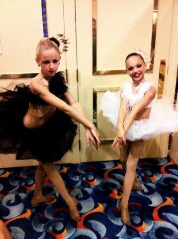 File:Black-swan.jpg