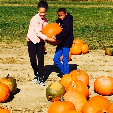 File:Nia pumpkins2014 Holly-gram.jpg