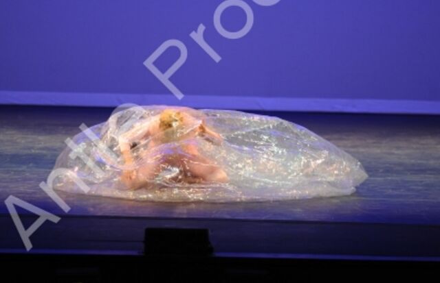 File:601 The Girl In The Plastic Bubble 6.jpg
