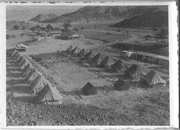 Beerora1951.jpg