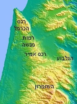 Carmel Topography