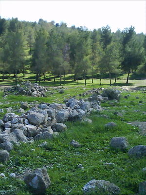 Yatir anim.jpg