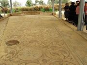 Negev adom 059.jpg