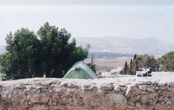 Pinchas2.jpg