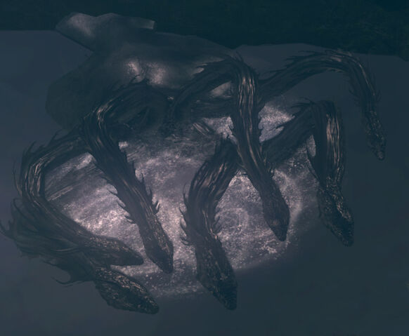 Archivo:Darkroot hydra.jpg
