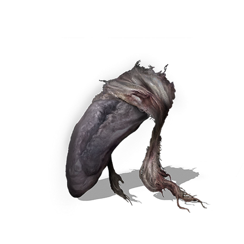Archivo:Lengua pálida.png
