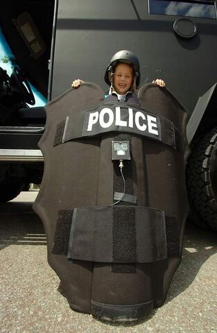 File:Heavyshieldlarge.jpg