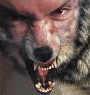Shapeshift
